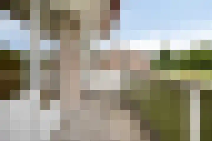 Tichelwerkstraat 44 Hoogeveen thumbnail 17