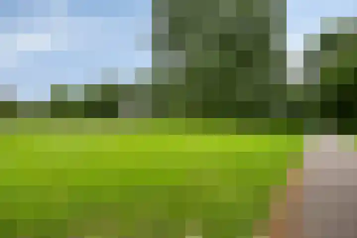 Tichelwerkstraat 44 Hoogeveen thumbnail 30