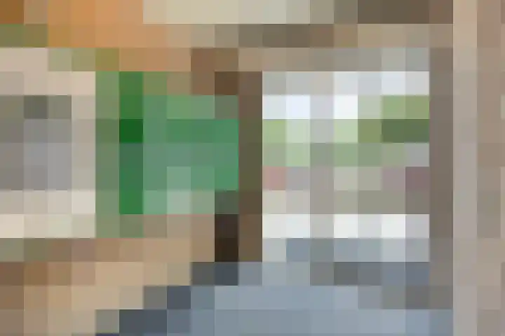 Tichelwerkstraat 44 Hoogeveen thumbnail 5