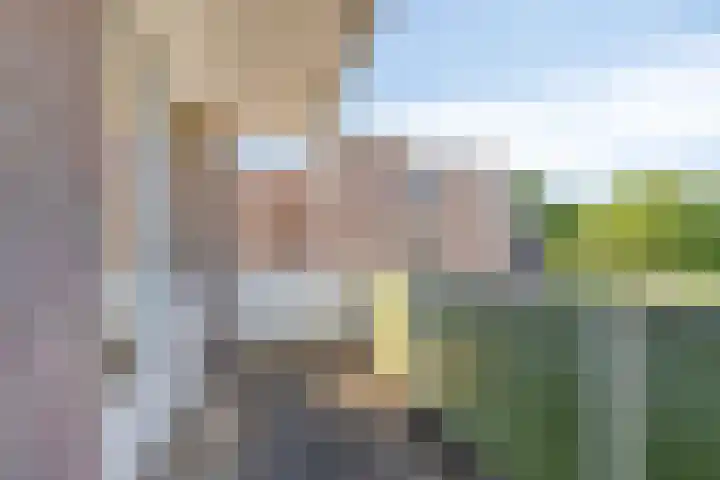 Tichelwerkstraat 46 Hoogeveen thumbnail 17