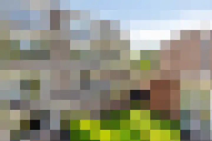Tichelwerkstraat 46 Hoogeveen thumbnail 30