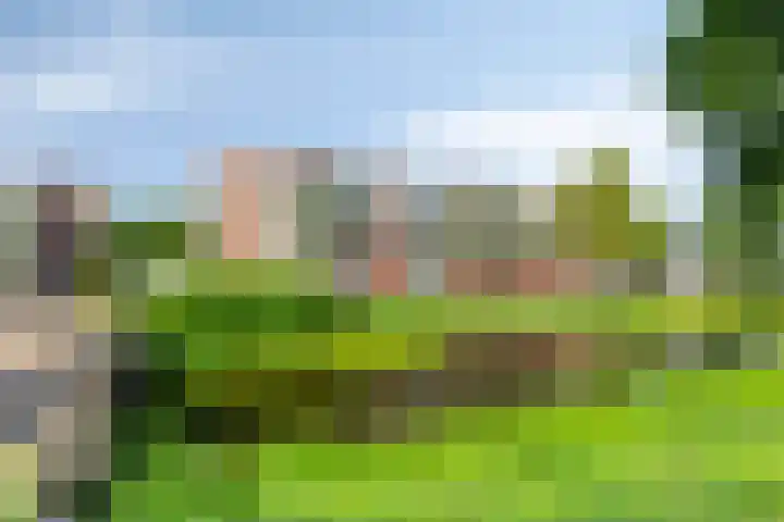 Tichelwerkstraat 46 Hoogeveen thumbnail 34