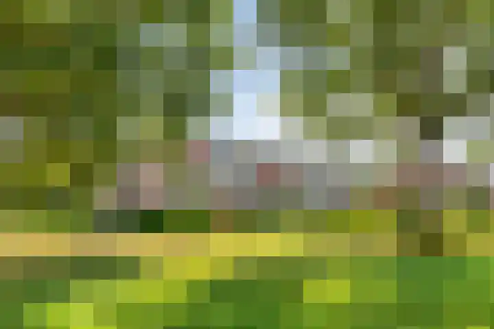 Tichelwerkstraat 46 Hoogeveen thumbnail 37
