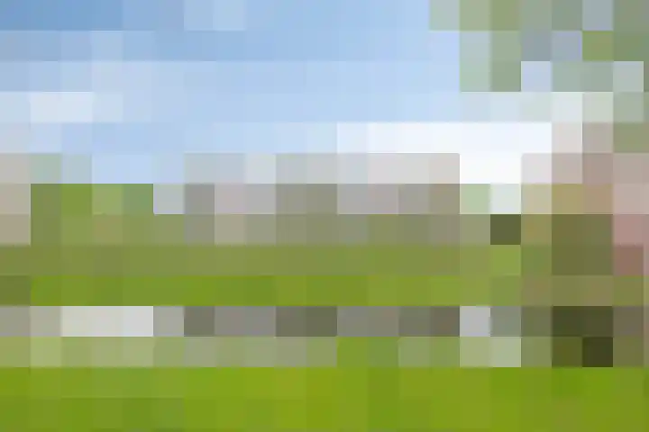 Tichelwerkstraat 68 Hoogeveen thumbnail 4
