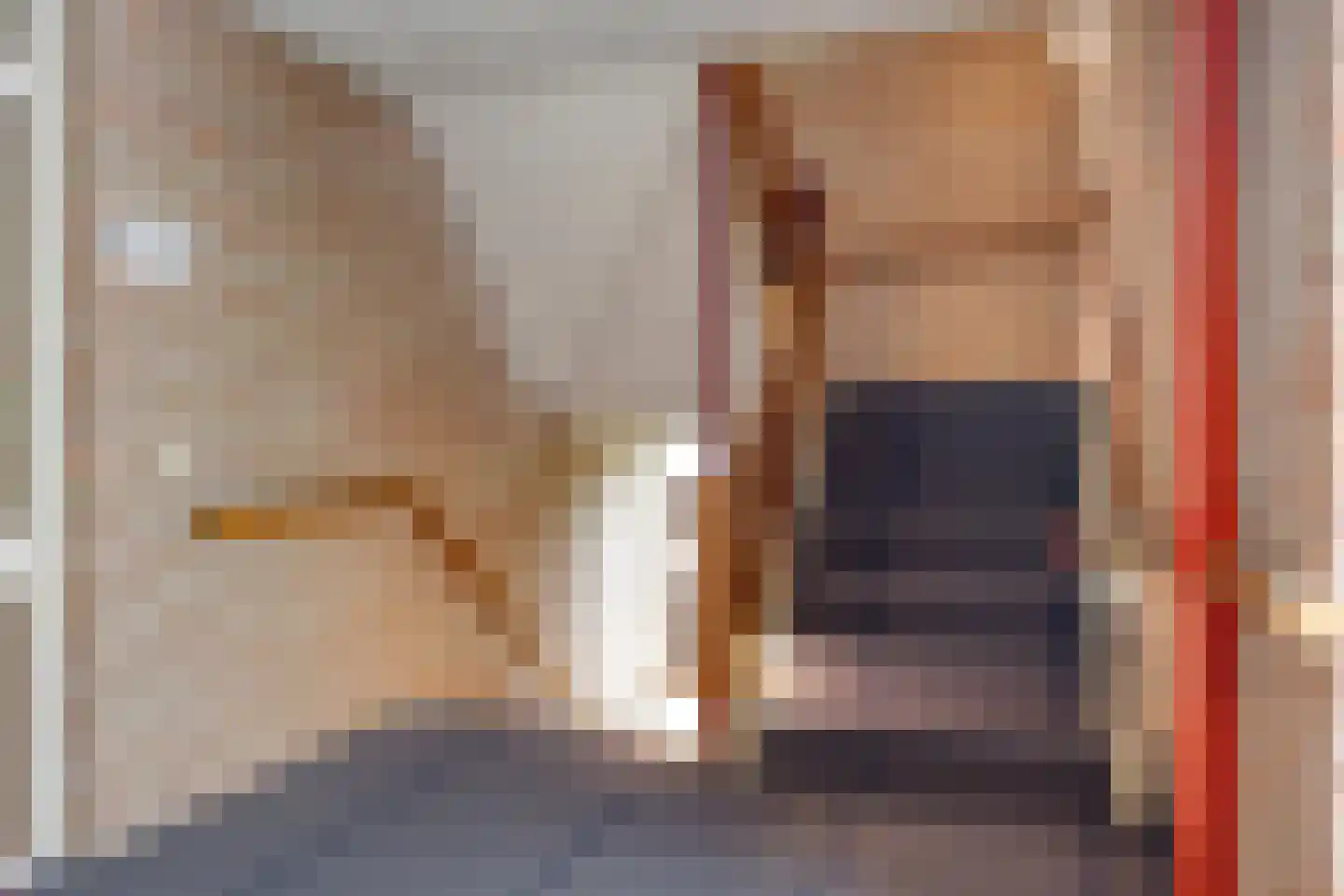Tichelwerkstraat 98 Hoogeveen thumbnail 9