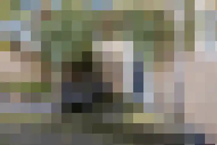Tichelwurk 2 Franeker thumbnail 13