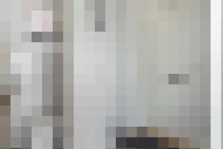 Tichelwurk 2 Franeker thumbnail 17