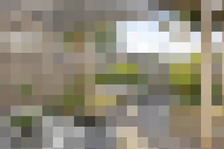 Tichelwurk 2 Franeker thumbnail 21