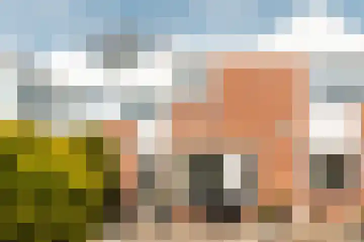 Tichelwurk 2 Franeker thumbnail 28