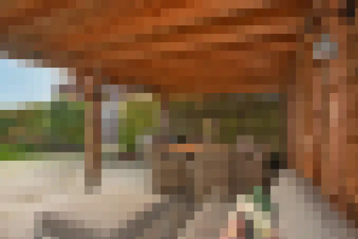 Tichelwurk 2 Franeker thumbnail 30