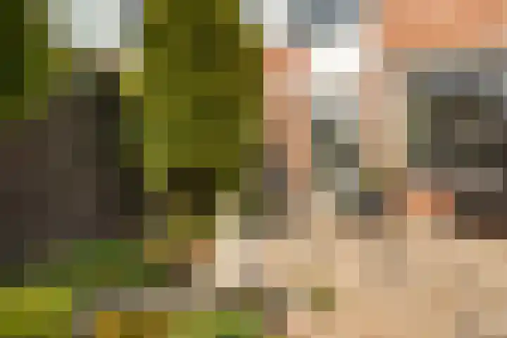 Tichelwurk 2 Franeker thumbnail 32