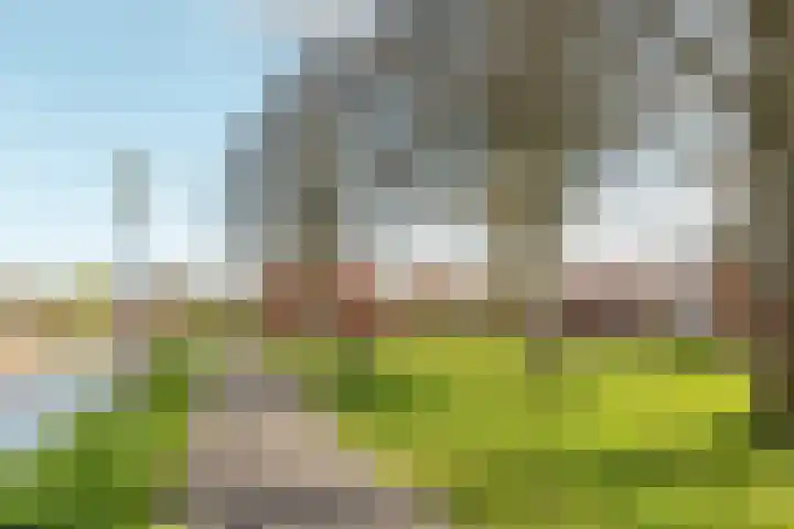 Tichelwurk 2 Franeker thumbnail 35