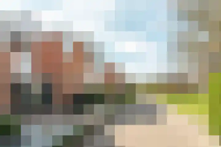 Tichelwurk 2 Franeker thumbnail 6