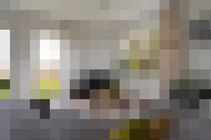 Tichelwurk 2 Stiens thumbnail 10
