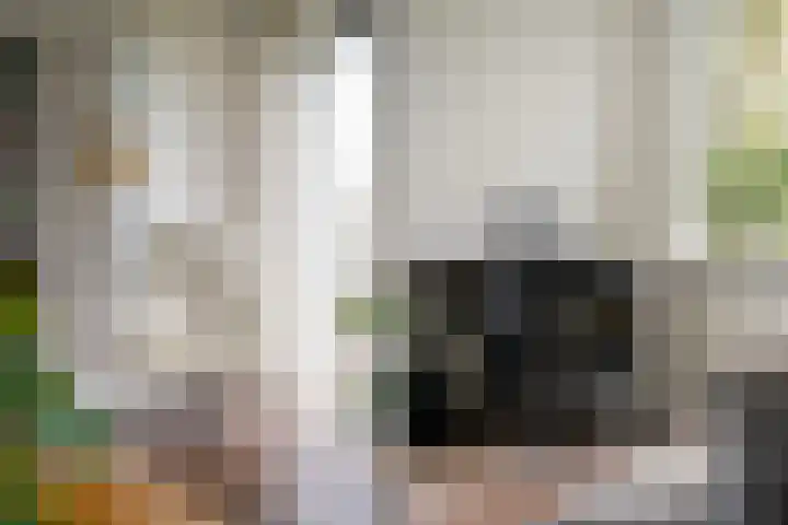 Tichelwurk 2 Stiens thumbnail 12