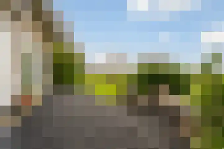 Tichelwurk 2 Stiens thumbnail 35