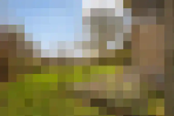 Tichelwurk 2 Stiens thumbnail 37