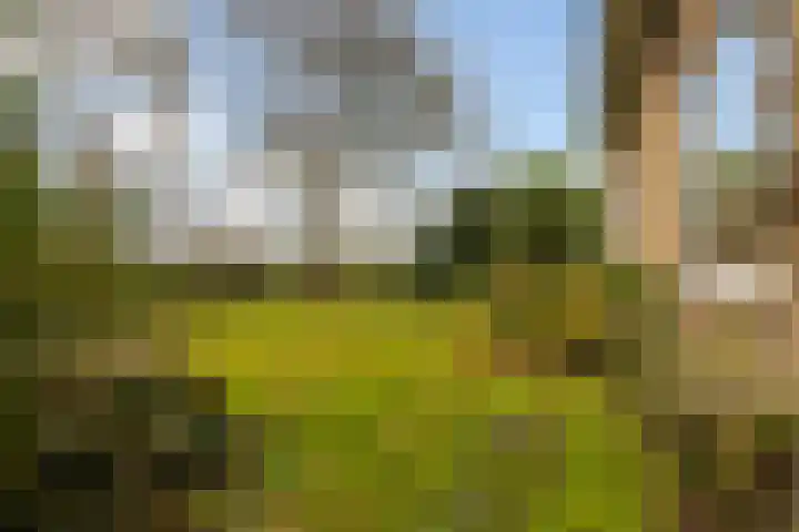 Tichelwurk 2 Stiens thumbnail 39