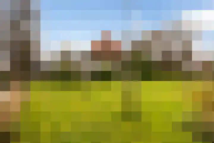 Tichelwurk 2 Stiens thumbnail 42