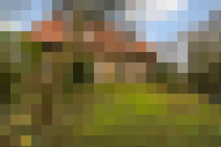 Tichelwurk 2 Stiens thumbnail 5
