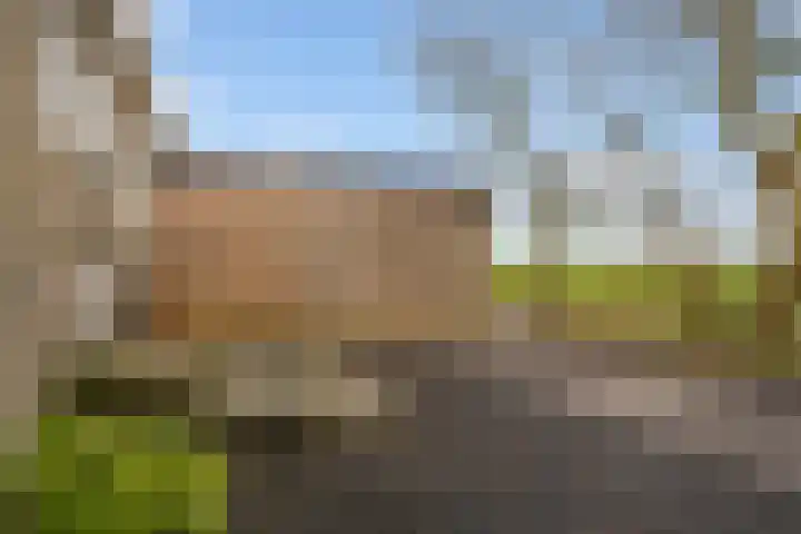 Tichelwurk 2 Stiens thumbnail 7