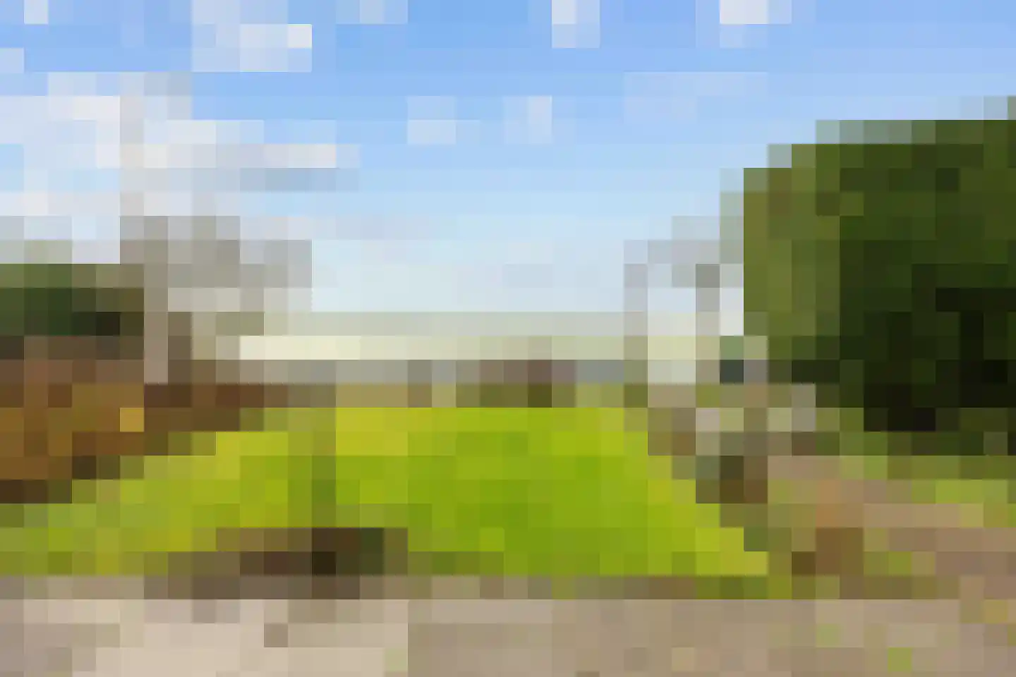 Tichelwurk 9 Dronryp thumbnail 19