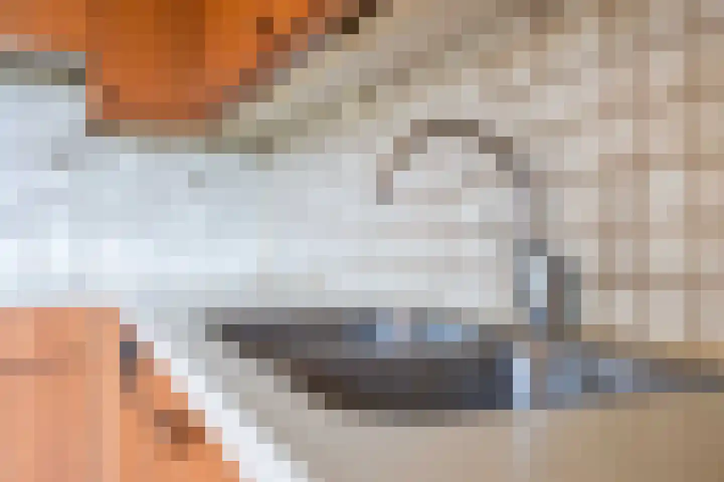 Tichelwurk 9 Dronryp thumbnail 40