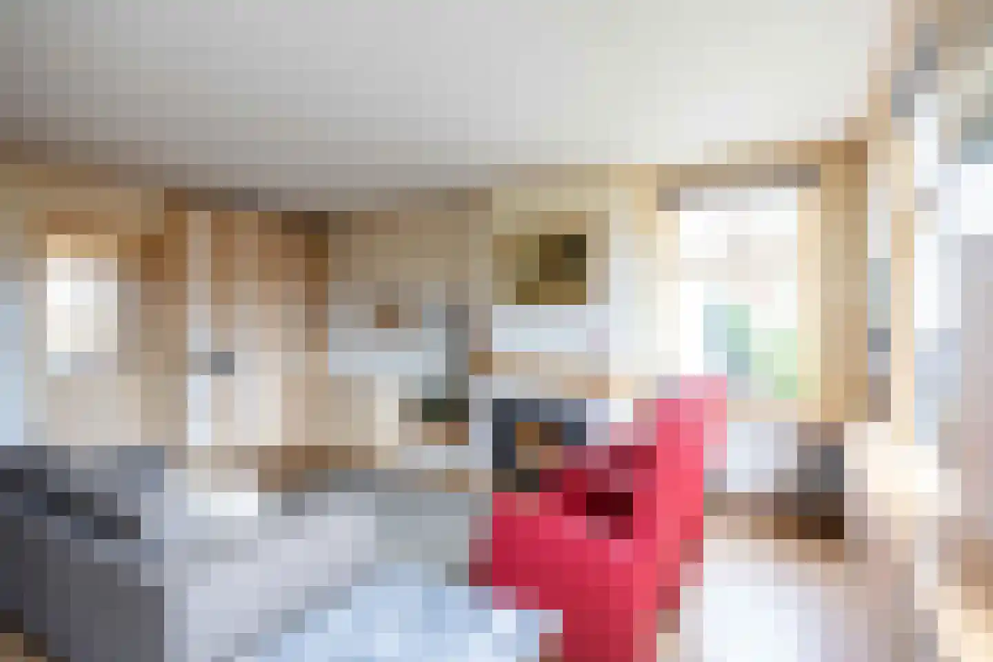 Tichelwurk 9 Dronryp thumbnail 47
