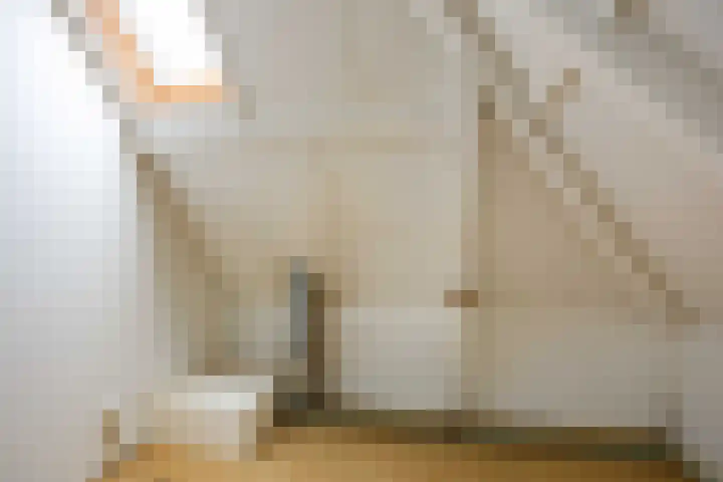Tichelwurk 9 Dronryp thumbnail 54