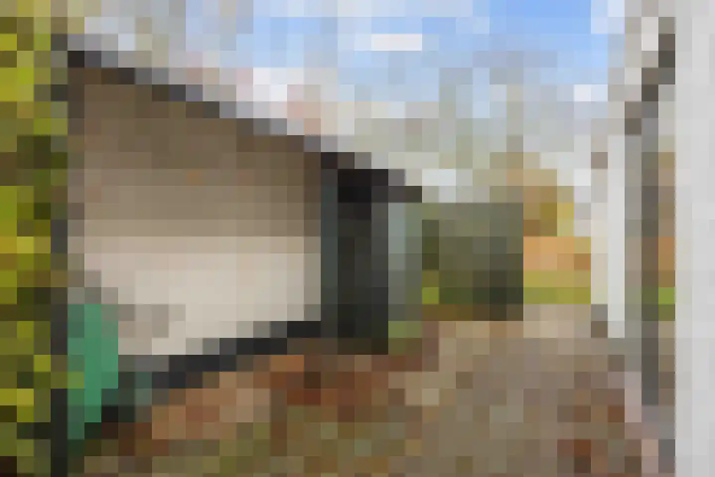 Tichelwurk 9 Dronryp thumbnail 56