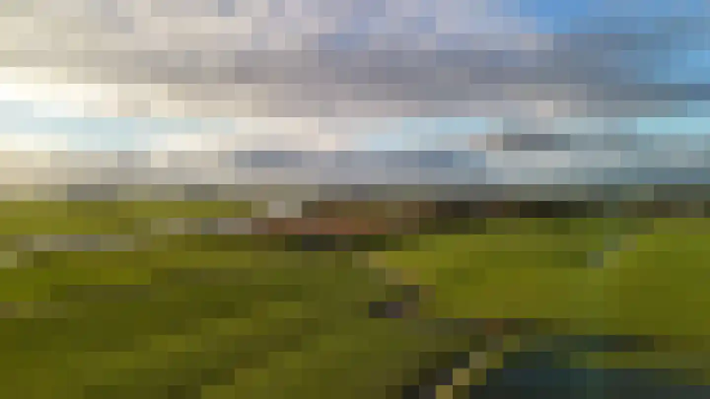 Tichelwurk 9 Dronryp thumbnail 72