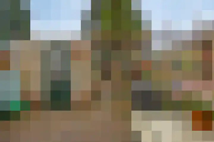 Tichlerstraat 10 IJsselmuiden thumbnail 4
