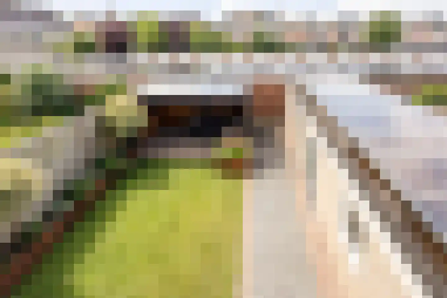 Tichlerstraat 4 IJsselmuiden thumbnail 31