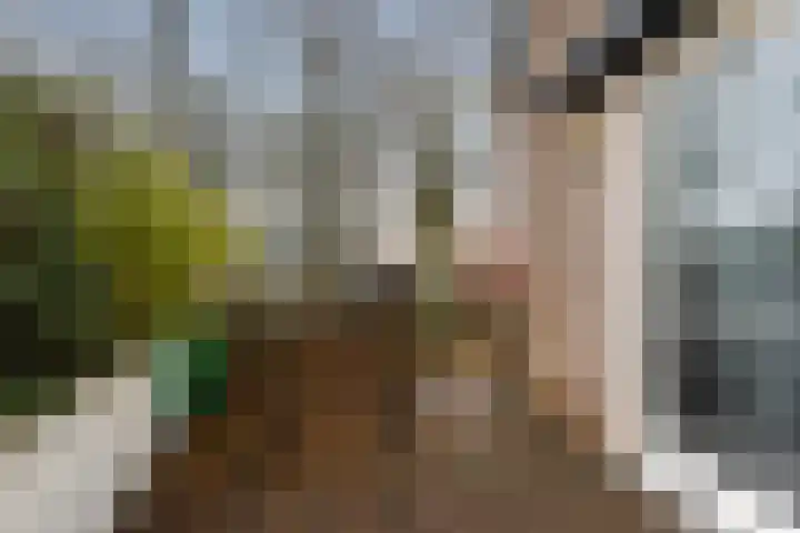 Tichtset 4 Terherne thumbnail 11