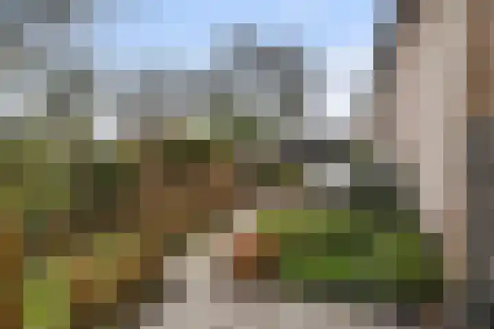 Tichtset 4 Terherne thumbnail 12