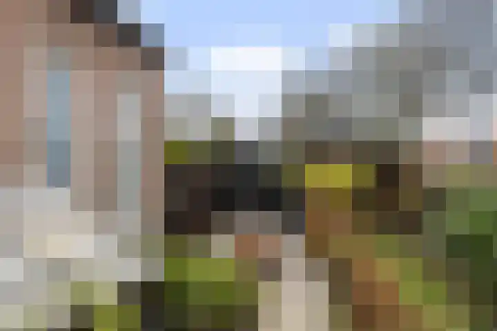 Tichtset 4 Terherne thumbnail 14