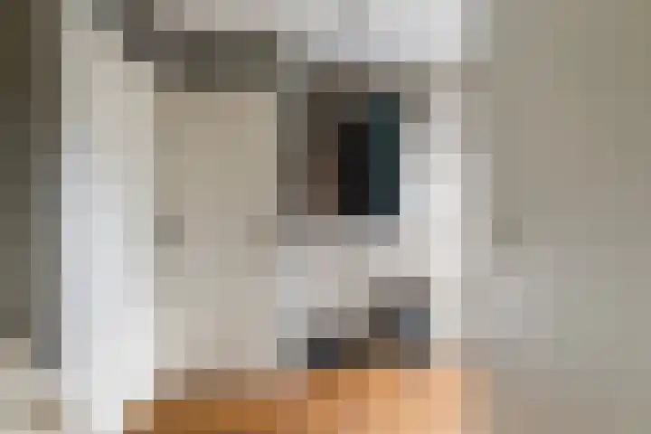Tichtset 4 Terherne thumbnail 15