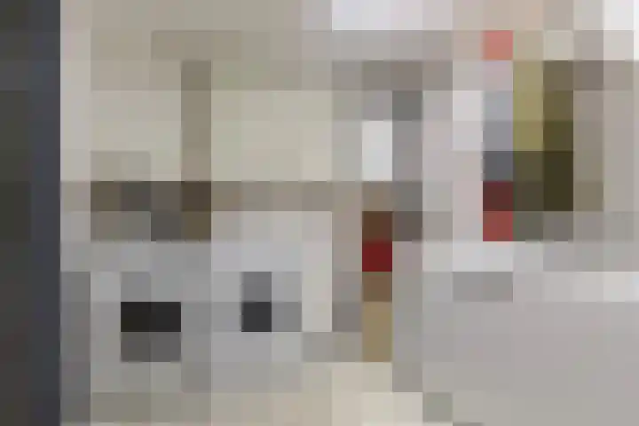 Tichtset 4 Terherne thumbnail 25
