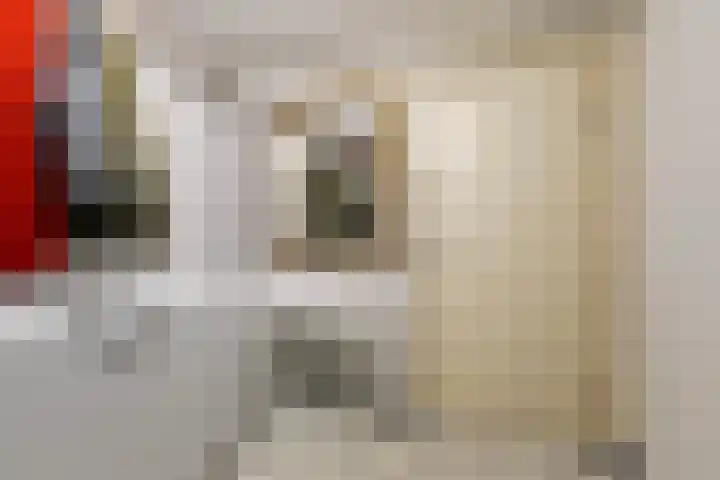 Tichtset 4 Terherne thumbnail 26