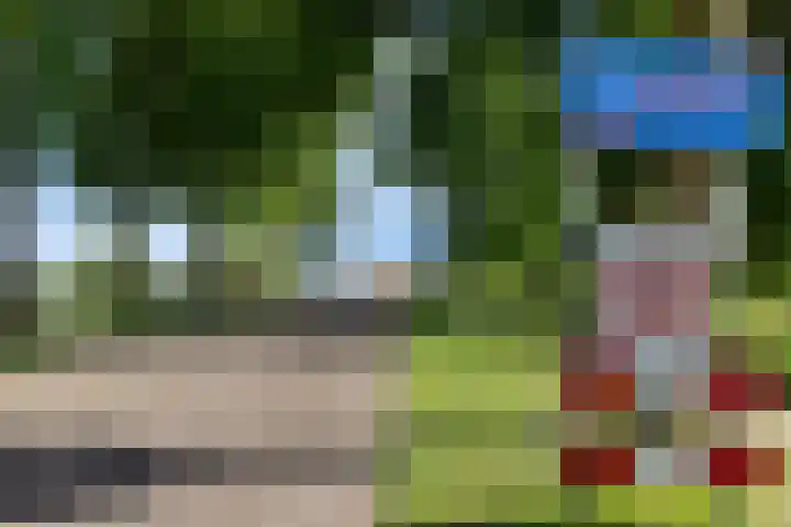 Tichtset 4 Terherne thumbnail 44