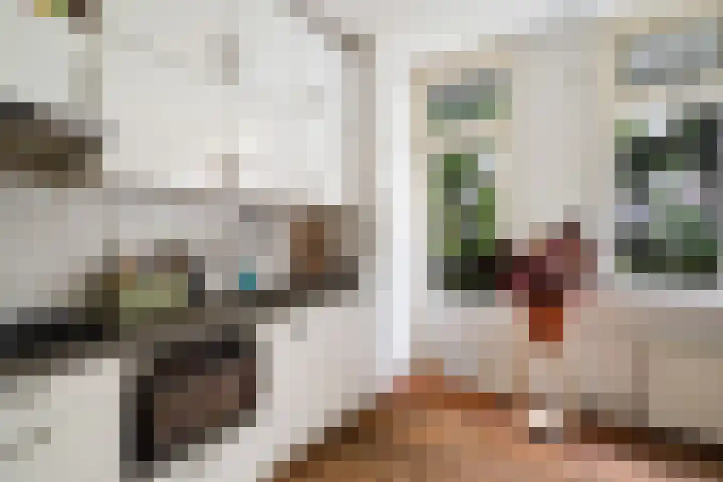 Tidemanstraat 6 A Rotterdam thumbnail 22