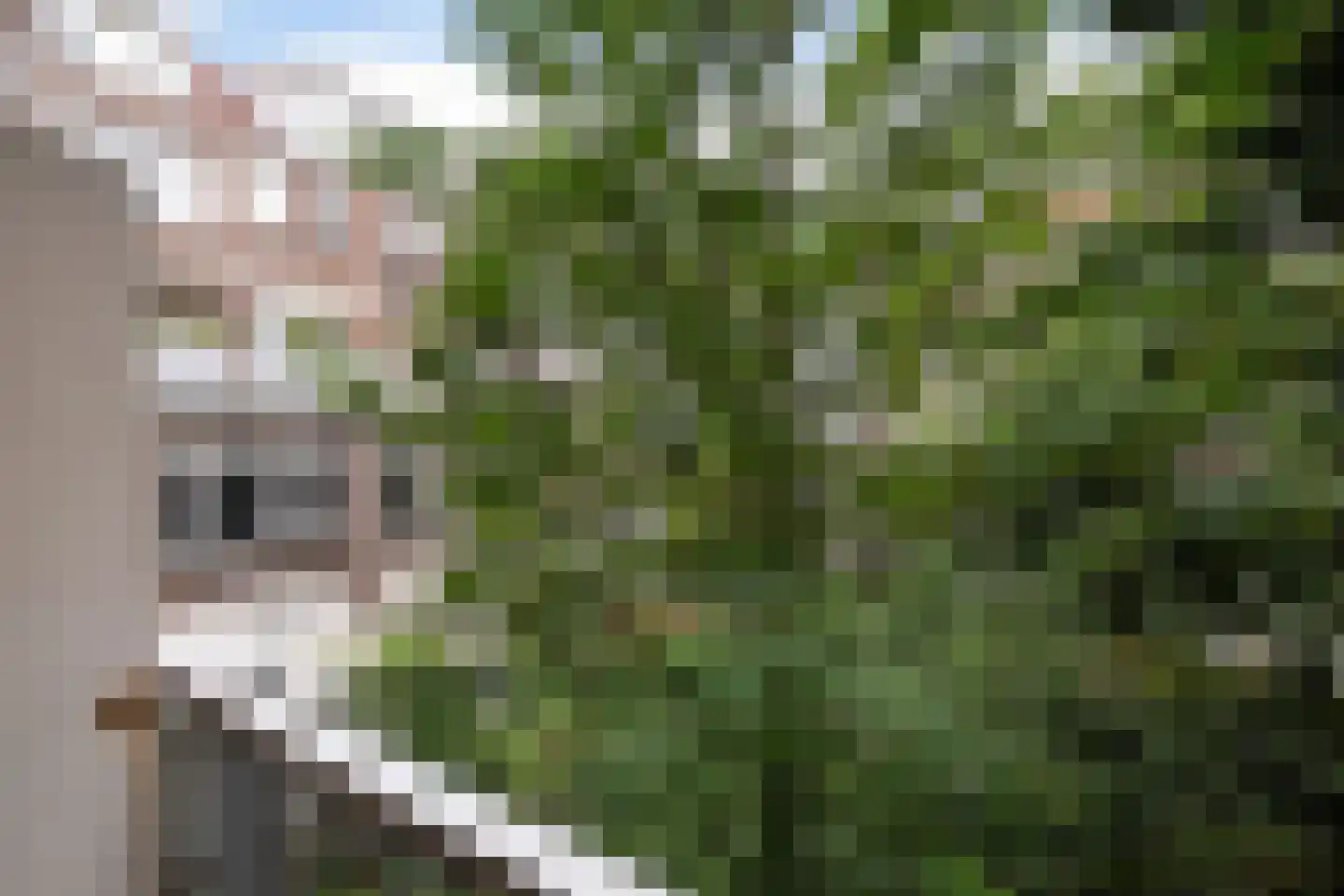 Tidemanstraat 6 A Rotterdam thumbnail 48
