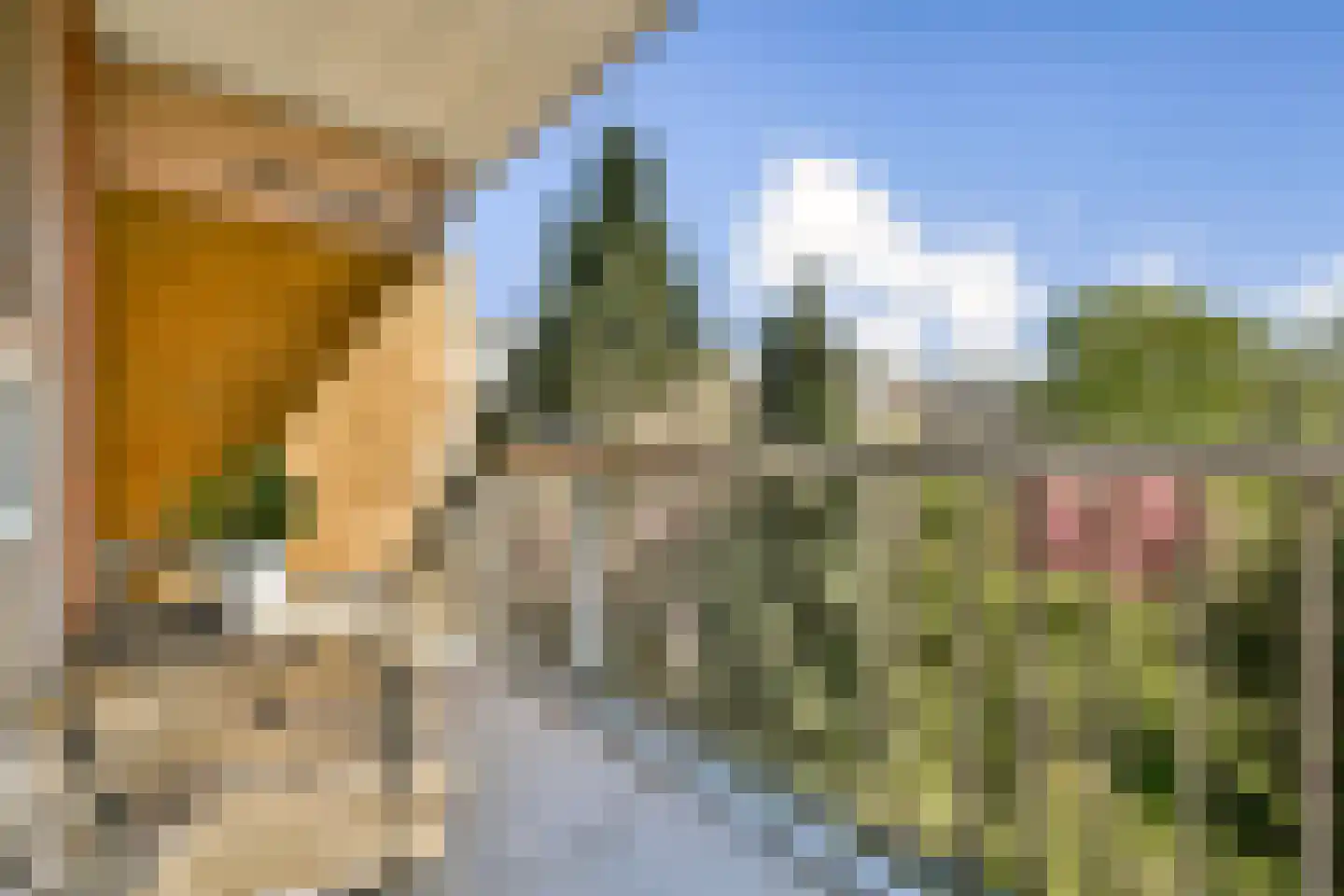 Tidorestraat 110 Amsterdam thumbnail 15