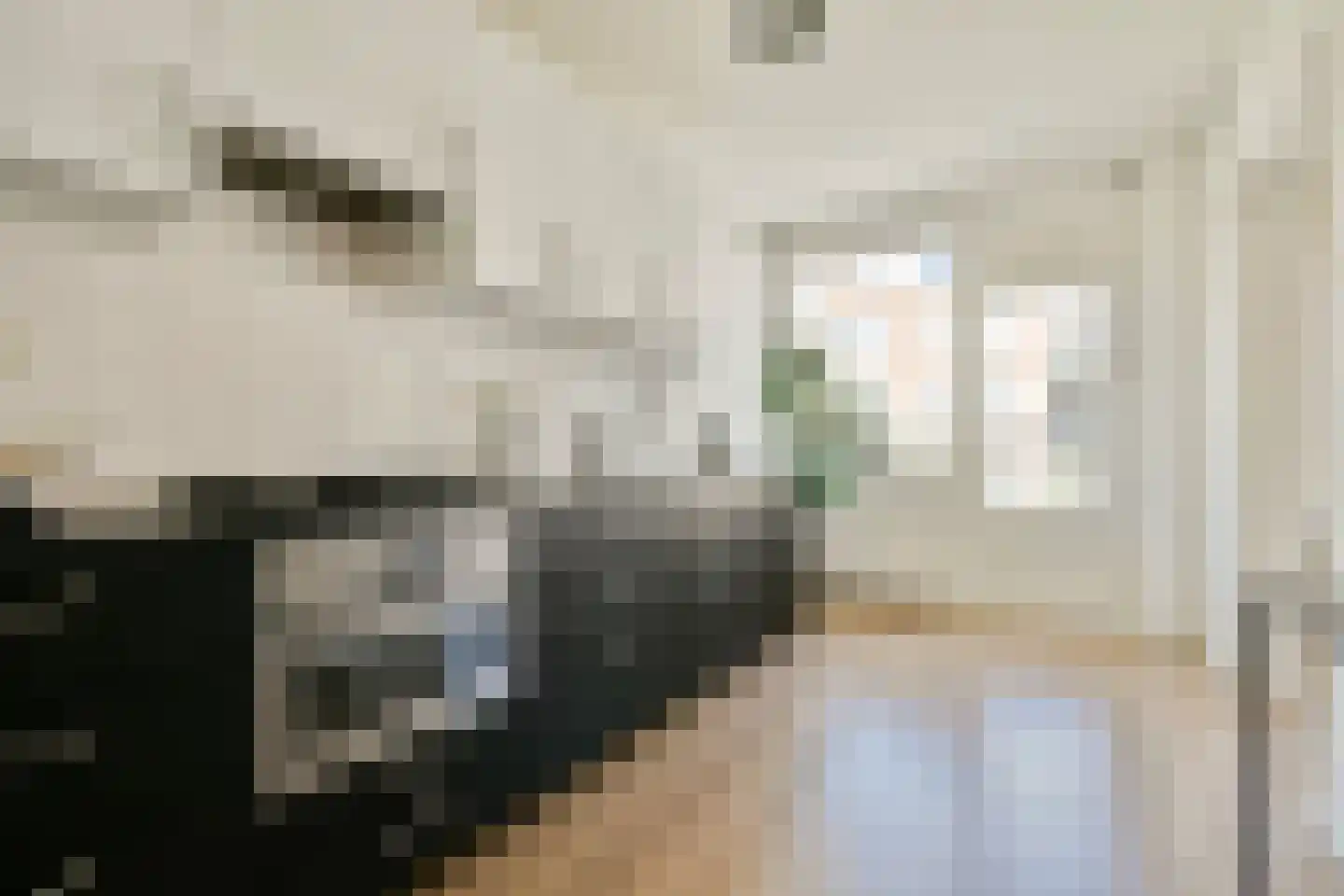 Tidorestraat 110 Amsterdam thumbnail 7