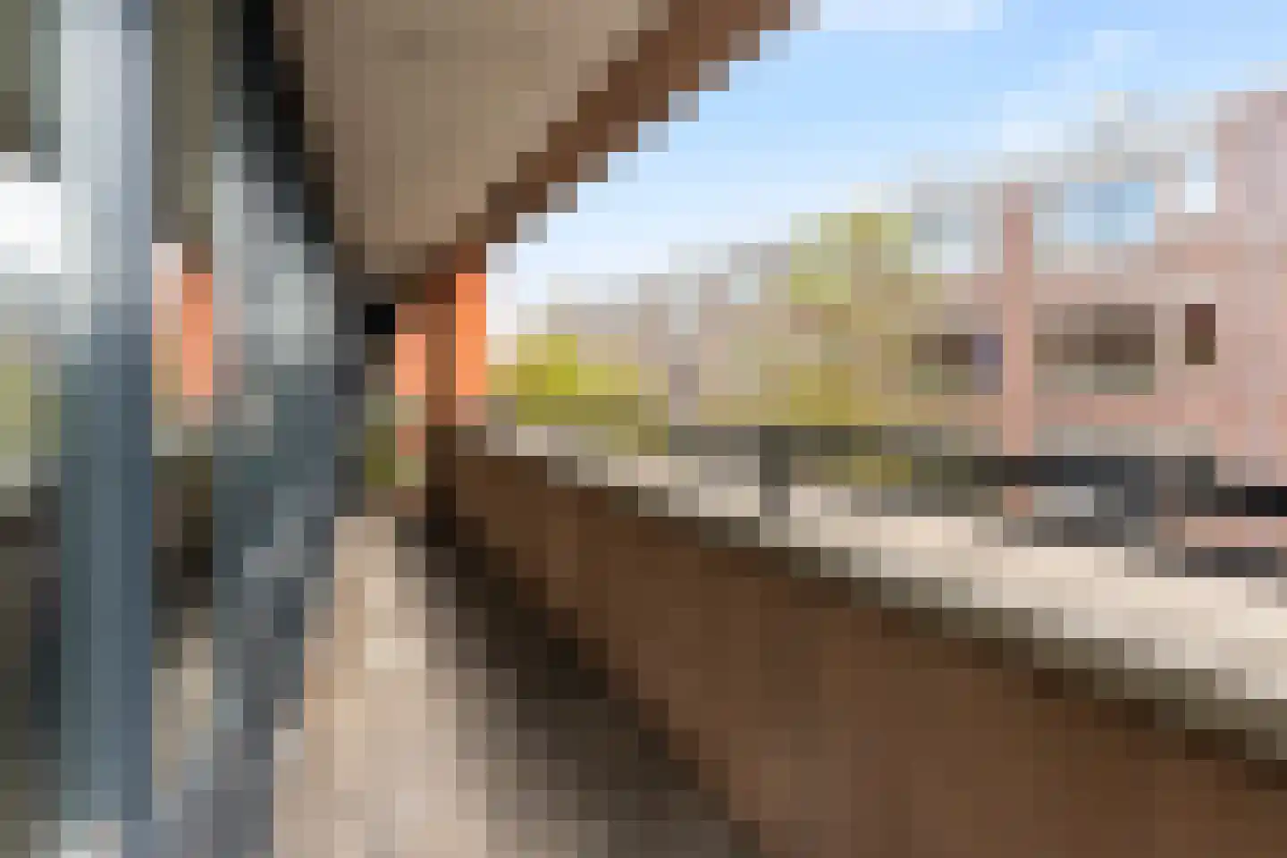 Tidorestraat 195 Amsterdam thumbnail 13
