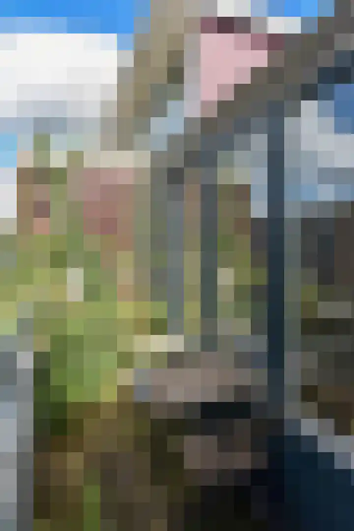 Tidorestraat 199 Amsterdam thumbnail 12