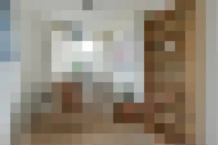 Tidorestraat 199 Amsterdam thumbnail 15