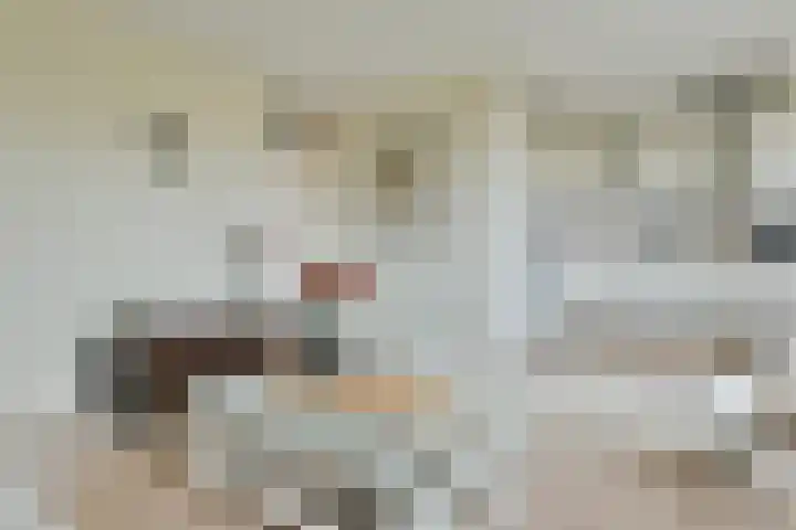 Tidorestraat 199 Amsterdam thumbnail 5