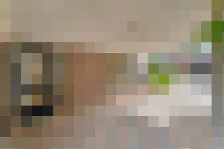 Tieberije 7 Gramsbergen thumbnail 10