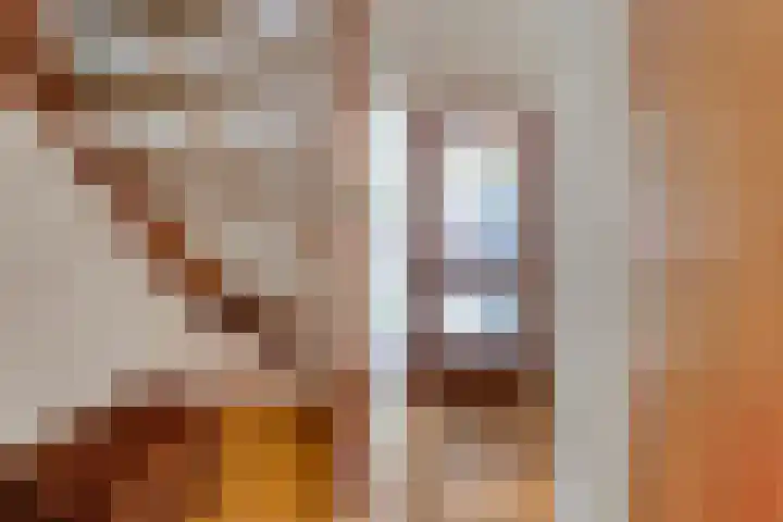 Tieberije 7 Gramsbergen thumbnail 11